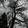 _MG_0027