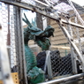 籠の中の龍_花園神社