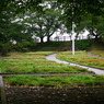 将棋公園の花畑