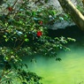水のある風景 68