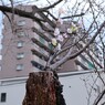 フェイク桜