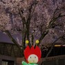 緑地の桜は今からだよ