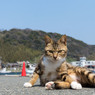 港のにいちゃん