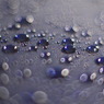 雨上がりの11月の朝