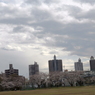 お花見16