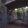 R0011077
