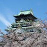 春の大阪城散策2