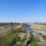 入間川