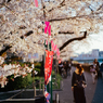 花あかり