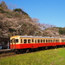 P4030215