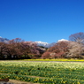 実相寺境内から甲斐駒ヶ岳