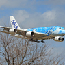 「青い日」 ANA A380-841 [ホヌ1青] JA381A着陸です