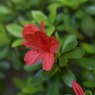 s-DSC_0030