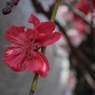 s-DSC_0060