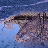 東の空に雨過ぎて