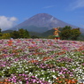 花　富士山