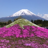富士山がふたつ？