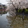 s-DSC_0117