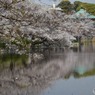 s-DSC_0173