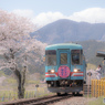 樽見鉄道と桜　木知原駅