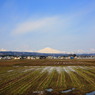 まだまだ白い鳥海山
