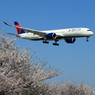 「さくら」 DELTA A350-941 N501DN 到着です