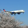 「さくら」 Delta A350-941 N513DZ 到着です