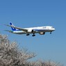 「さくら」 ANA 787-9 JA892A 到着です