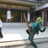 奇祭　蜘蛛ＶＳカメレオン