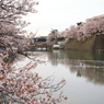 福井城　御廊下橋