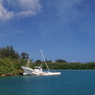 IMGP6452