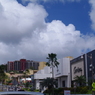 IMGP5753