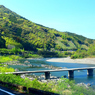 沈下橋と新緑