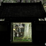 増泉寺の枝垂れ桜