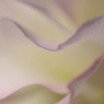 あふれる　やさしさ。