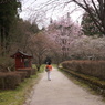 化け地蔵の参道