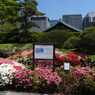 皇居東御苑2