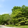 皇居東御苑9