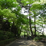 皇居東御苑13
