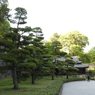 皇居東御苑18
