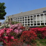 平成つつじ公園1
