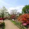 平成つつじ公園7