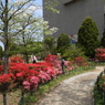 平成つつじ公園14