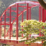 橋