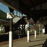 IMGP1576