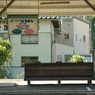 IMGP1578