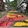 INFIORATA  KOBE in KITANOZAKA