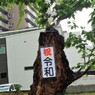 フェイク桜 令和編