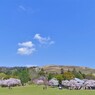 都に思いを馳せる