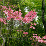 saturated colors　#07